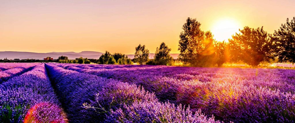 Provence